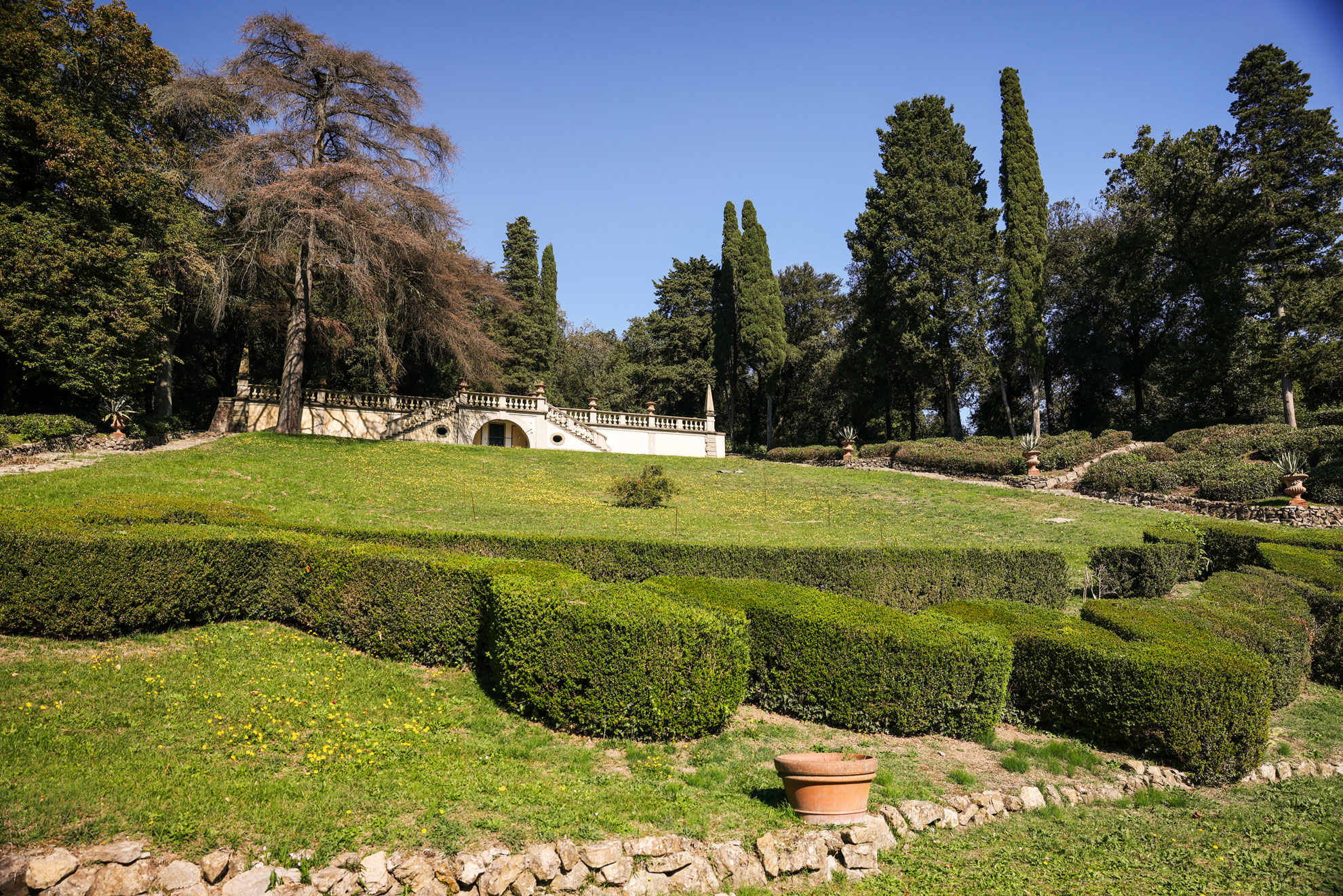 Verdelegante su Dreamer Real Estate. Le forme del giardino nel lusso immobiliare
